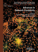 Advances in network complexity