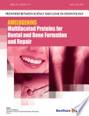 Amelogenins : multifaceted proteins for dental and bone formation and repair /