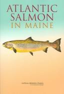 Atlantic salmon in Maine /