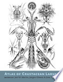 Atlas of crustacean larvae /