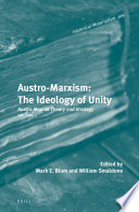 Austro-Marxism. the ideology of unity /