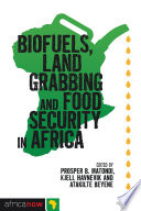 Biofuels, land grabbing and food security in Africa