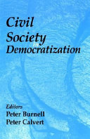 Civil society in democratization /