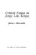 Critical essays on Jorge Luis Borges /