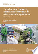 Derechos ambientales y afectaciones en tiempos de crisis ambiental y pandemia. Gregorio Mesa Cuadros, editor, profesor titular (tenured professor).