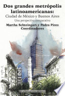 Dos grandes metrópolis latinoamericanas : Ciudad de México y Buenos Aires : una perspectiva comparativa / Martha Schteingart, Pedro Pírez, coordinadores.