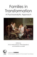 Families in transformation : a psychoanalytic approach / edited by Anna Maria Nicolo, Pierre Benghozi, and Daniela Lucarelli.