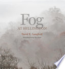 Fog at Hillingdon /