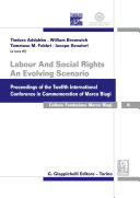 Labour and social rights : an evolving scenario : proceedings of the twelfth International Conference in Commemoration of Marco Biagi /