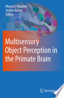 Multisensory object perception in the primate brain /