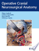 Operative cranial neurosurgical anatomy /