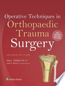 Operative techniques in orthopaedic trauma surgery /