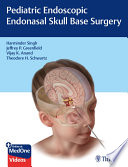 Pediatric endoscopic endonasal skull base surgery / [edited by] Haminder Singh, Jeffrey P. Greenfield, Vijay K. Anand, Theodore H. Schwartz.