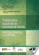 Problematica actual de los procesos de familia : especial atencion a la prueba /