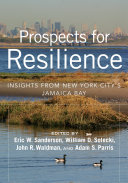 Prospects for resilience : insights from New York City's Jamaica Bay /