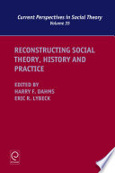 Reconstructing social theory, history and practice /