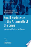 Small businesses in the aftermath of the crisis : international analyses and policies /