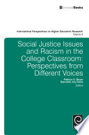 Social justice issues and racism in the college classroom : perspectives from different voices /