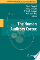 The human auditory cortex /