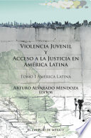 Violencia juvenil y acceso a la justicia en America Latina.