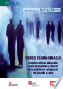 Voces escondidas II : estudio sobre la situacion socio economica y laboral de la poblacion inmigrante en Castilla y Leon /