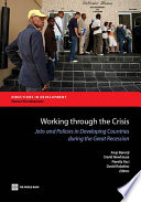 Working through the crisis : jobs and policies in developing countries during the great recession /