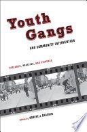 Youth gangs and community intervention : research, practice, and evidence /