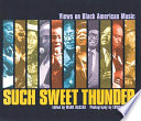 Such sweet thunder : views on black American music /