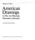 American drawings in the Art Museum, Princeton University : 130 selected examples : [exhibition] /