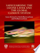 IPCC/TEAP special report on safeguarding the ozone layer and the global climate system : issues related to hydrofluorocarbons and perfluorocarbons /