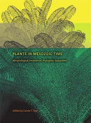 Plants in Mesozoic time : morphological innovations, phylogeny, ecosystems /