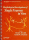 Morphological investigations of single neurons in vitro / edited by Gloria E. Meredith and Gordon W. Arbuthnott.