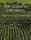 The Marks in the fields : essays on the uses of manuscripts / edited by Rodney G. Dennis with Elizabeth Falsey.