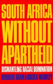 South Africa without apartheid : dismantling racial domination /