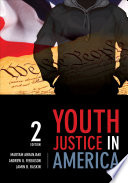 Youth justice in America /