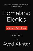 Homeland elegies : a novel /