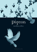 Pigeon /