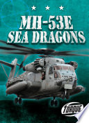 MH-53E Sea Dragons /