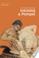 Intimità a Pompei : riservatezza, condivisione e prestigio negli ambienti ad alcova di Pompei / Anna Anguissola.