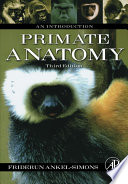 Primate anatomy : an introduction /