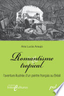 Romantisme tropical : l'aventure illustree d'un peintre francais au Bresil /