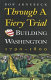 Through a fiery trial : building Washington, 1790-1800 /