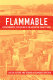 Flammable : environmental suffering in an Argentine shantytown /