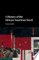 A history of the African American novel / Valerie Babb.