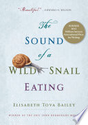The sound of a wild snail eating /