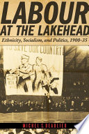 Labour at the Lakehead ethnicity, socialism, and politics, 1900-35 /