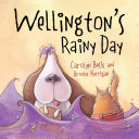 Wellington's rainy day /