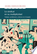 Lo sindical en su multiplicidad : trabajo, profesiones y afectos en el hospital /