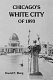 Toward an urban vision : ideas and institutions in nineteenth-century America / Thomas Bender.