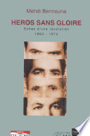 Heros sans gloire : echec d'une revolution, 1963-1973 /